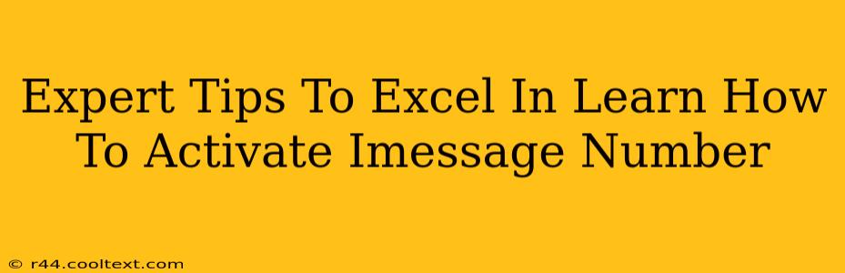 Expert Tips To Excel In Learn How To Activate Imessage Number