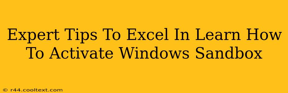 Expert Tips To Excel In Learn How To Activate Windows Sandbox