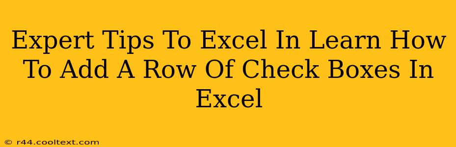 Expert Tips To Excel In Learn How To Add A Row Of Check Boxes In Excel