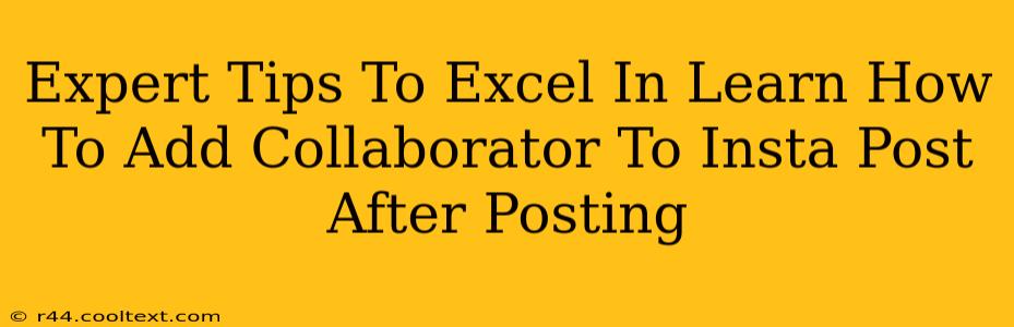 Expert Tips To Excel In Learn How To Add Collaborator To Insta Post After Posting