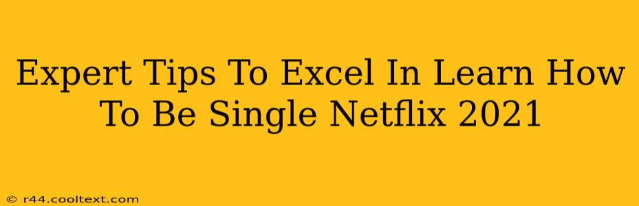 Expert Tips To Excel In Learn How To Be Single Netflix 2021