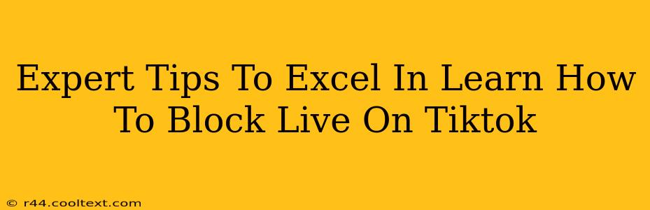 Expert Tips To Excel In Learn How To Block Live On Tiktok