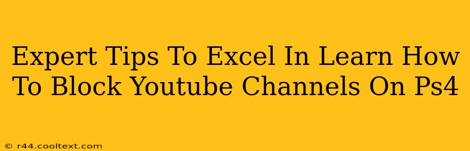 Expert Tips To Excel In Learn How To Block Youtube Channels On Ps4