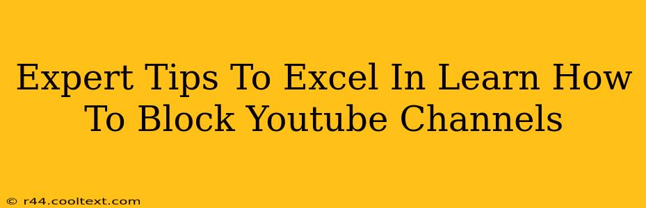 Expert Tips To Excel In Learn How To Block Youtube Channels