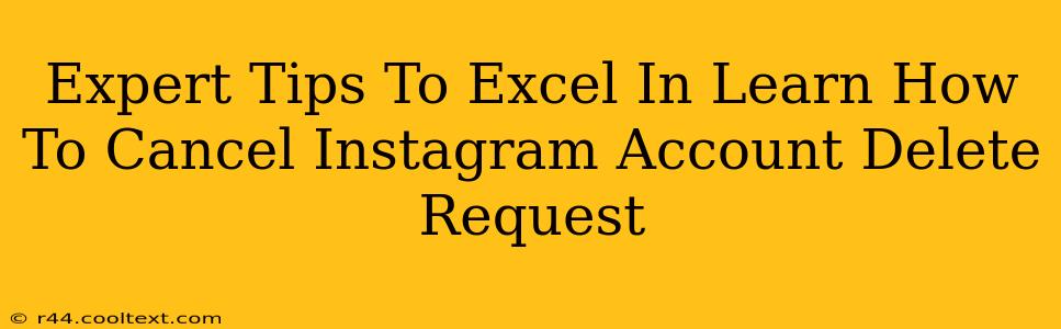 Expert Tips To Excel In Learn How To Cancel Instagram Account Delete Request