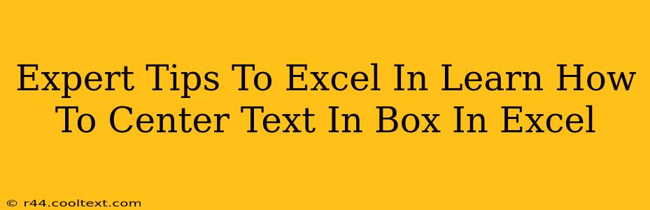 Expert Tips To Excel In Learn How To Center Text In Box In Excel