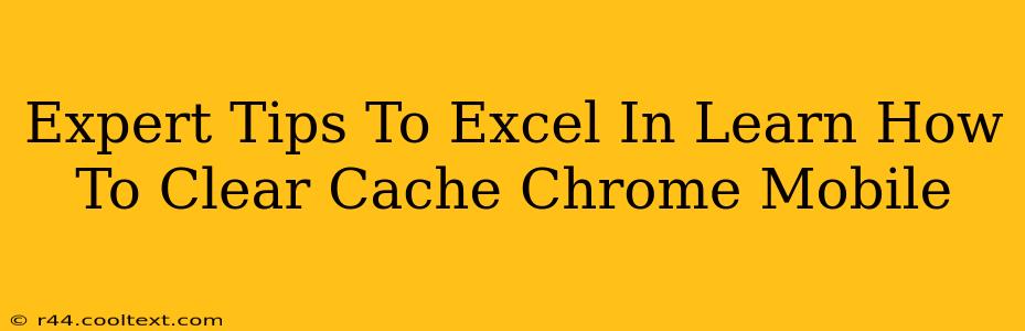 Expert Tips To Excel In Learn How To Clear Cache Chrome Mobile