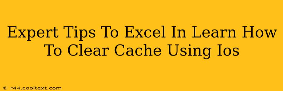 Expert Tips To Excel In Learn How To Clear Cache Using Ios