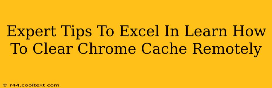 Expert Tips To Excel In Learn How To Clear Chrome Cache Remotely