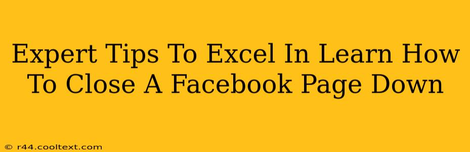 Expert Tips To Excel In Learn How To Close A Facebook Page Down