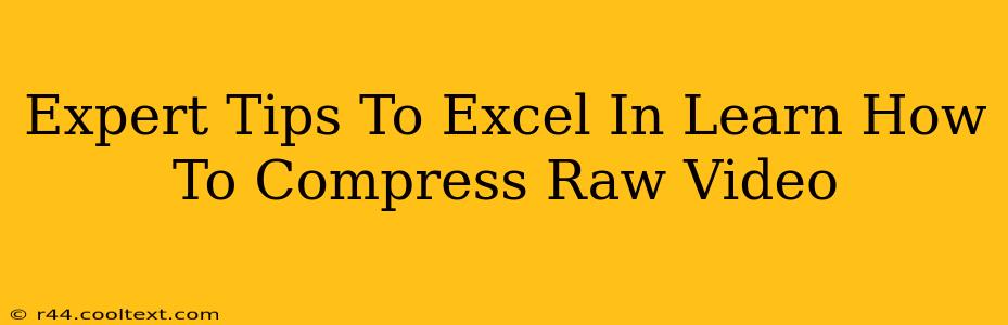 Expert Tips To Excel In Learn How To Compress Raw Video