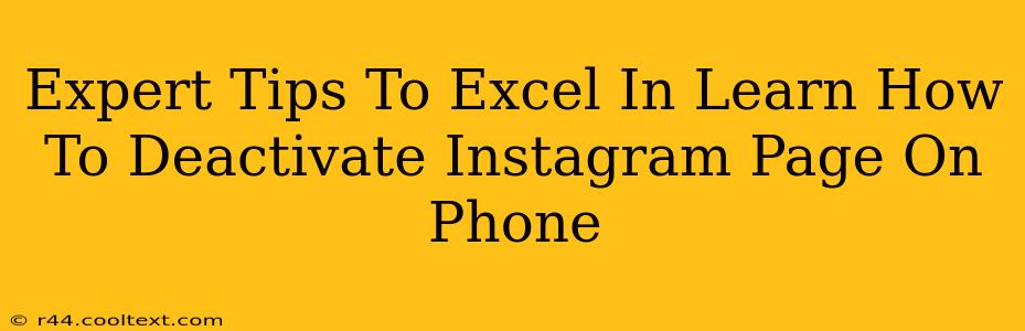 Expert Tips To Excel In Learn How To Deactivate Instagram Page On Phone