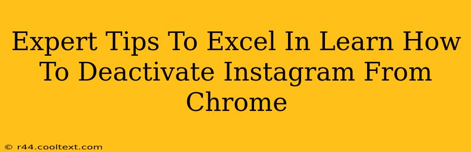 Expert Tips To Excel In Learn How To Deactivate Instagram From Chrome