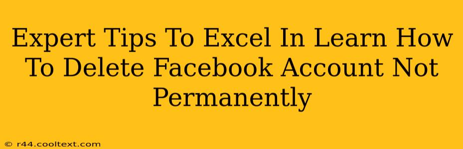 Expert Tips To Excel In Learn How To Delete Facebook Account Not Permanently