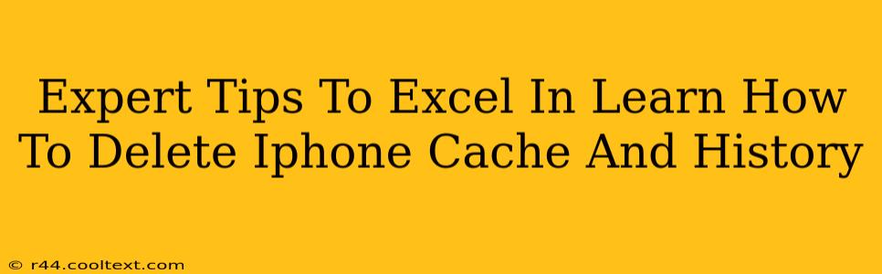 Expert Tips To Excel In Learn How To Delete Iphone Cache And History