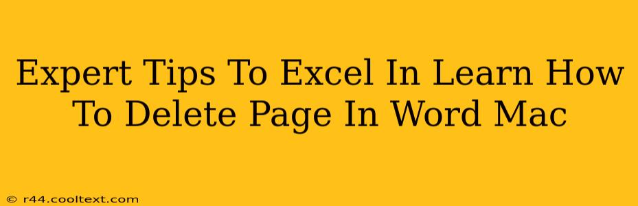 Expert Tips To Excel In Learn How To Delete Page In Word Mac