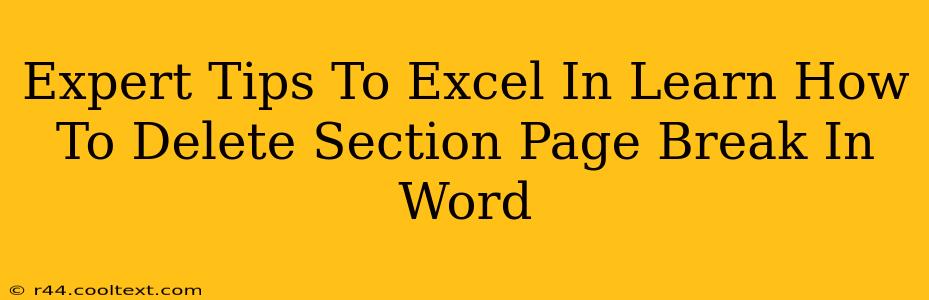 Expert Tips To Excel In Learn How To Delete Section Page Break In Word