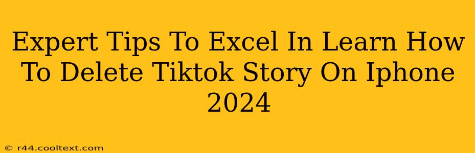 Expert Tips To Excel In Learn How To Delete Tiktok Story On Iphone 2024