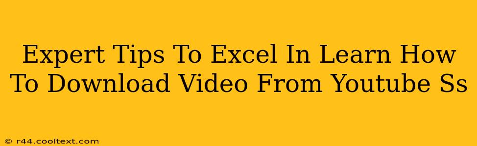 Expert Tips To Excel In Learn How To Download Video From Youtube Ss