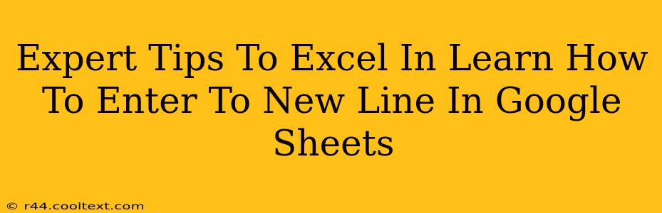 Expert Tips To Excel In Learn How To Enter To New Line In Google Sheets