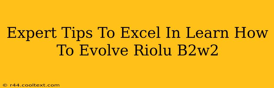 Expert Tips To Excel In Learn How To Evolve Riolu B2w2