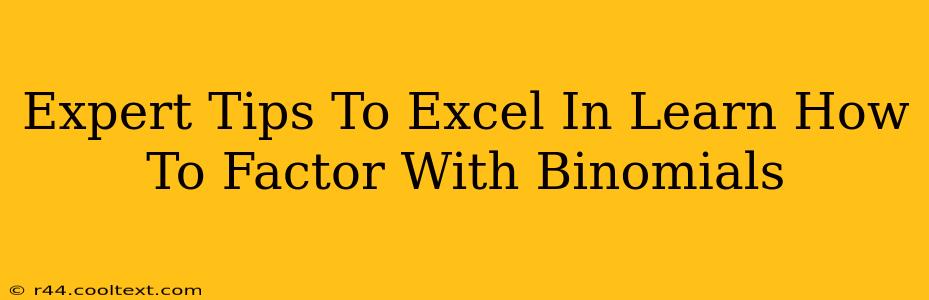 Expert Tips To Excel In Learn How To Factor With Binomials