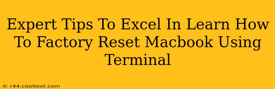 Expert Tips To Excel In Learn How To Factory Reset Macbook Using Terminal