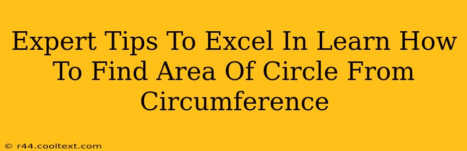 Expert Tips To Excel In Learn How To Find Area Of Circle From Circumference