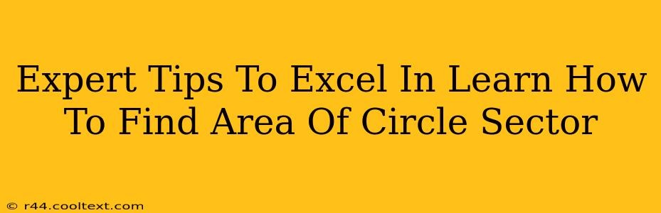 Expert Tips To Excel In Learn How To Find Area Of Circle Sector