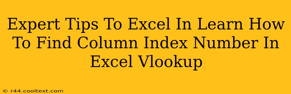 Expert Tips To Excel In Learn How To Find Column Index Number In Excel Vlookup