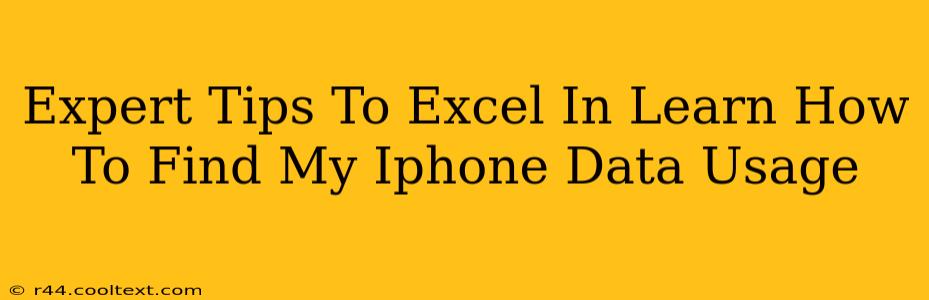 Expert Tips To Excel In Learn How To Find My Iphone Data Usage