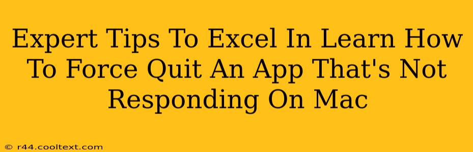 Expert Tips To Excel In Learn How To Force Quit An App That's Not Responding On Mac