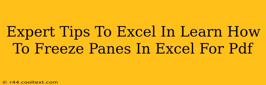 Expert Tips To Excel In Learn How To Freeze Panes In Excel For Pdf