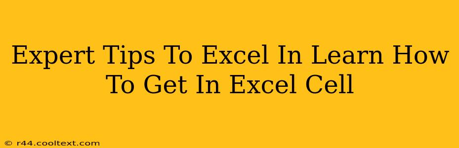 Expert Tips To Excel In Learn How To Get In Excel Cell