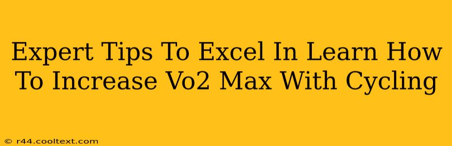 Expert Tips To Excel In Learn How To Increase Vo2 Max With Cycling