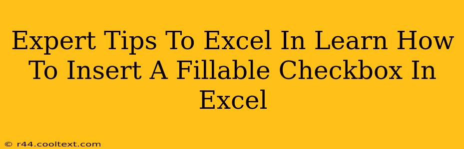 Expert Tips To Excel In Learn How To Insert A Fillable Checkbox In Excel