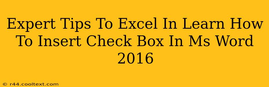 Expert Tips To Excel In Learn How To Insert Check Box In Ms Word 2016