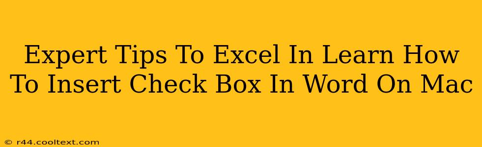 Expert Tips To Excel In Learn How To Insert Check Box In Word On Mac