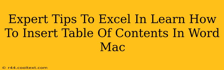 Expert Tips To Excel In Learn How To Insert Table Of Contents In Word Mac