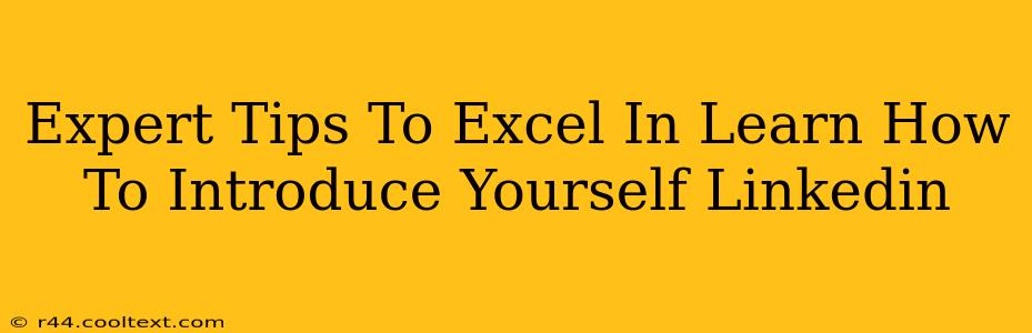 Expert Tips To Excel In Learn How To Introduce Yourself Linkedin