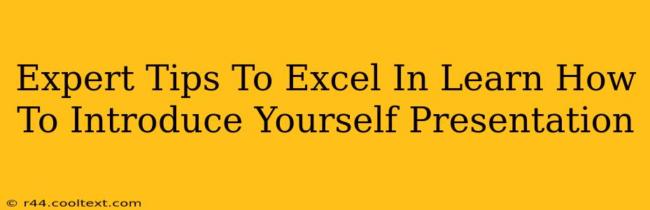 Expert Tips To Excel In Learn How To Introduce Yourself Presentation