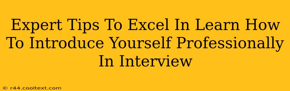 Expert Tips To Excel In Learn How To Introduce Yourself Professionally In Interview