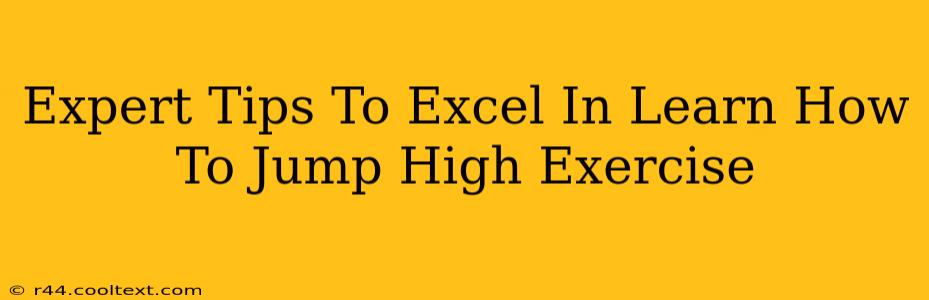 Expert Tips To Excel In Learn How To Jump High Exercise