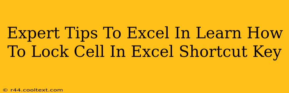 Expert Tips To Excel In Learn How To Lock Cell In Excel Shortcut Key