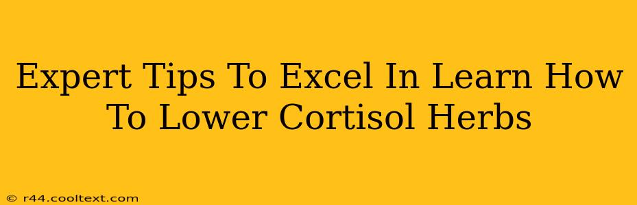 Expert Tips To Excel In Learn How To Lower Cortisol Herbs