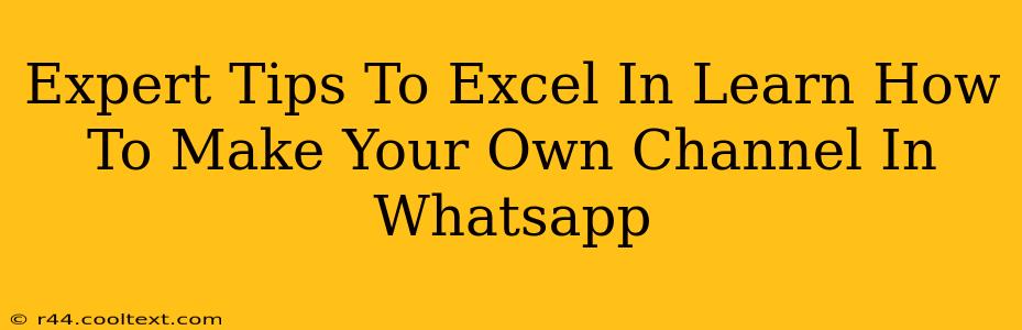 Expert Tips To Excel In Learn How To Make Your Own Channel In Whatsapp