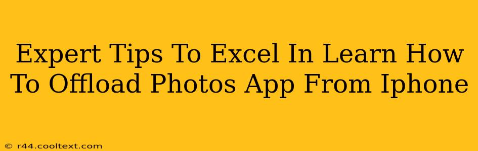 Expert Tips To Excel In Learn How To Offload Photos App From Iphone