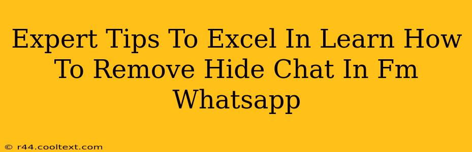 Expert Tips To Excel In Learn How To Remove Hide Chat In Fm Whatsapp