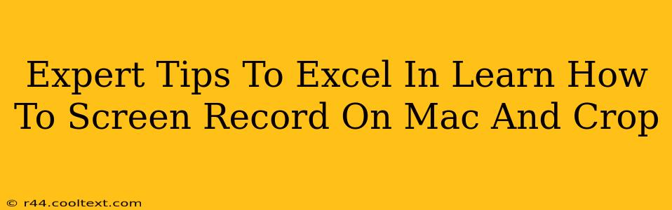 Expert Tips To Excel In Learn How To Screen Record On Mac And Crop