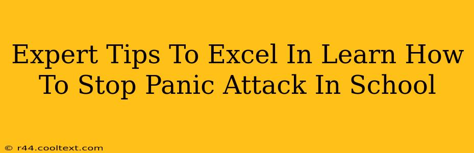 Expert Tips To Excel In Learn How To Stop Panic Attack In School